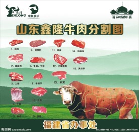 牛肉分割图  清真