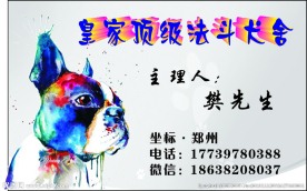 宠物名片 宠物狗 卡片