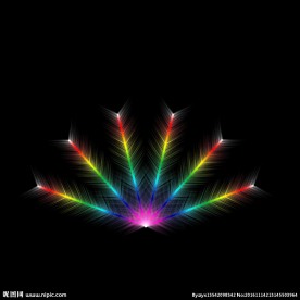 彩色羽毛