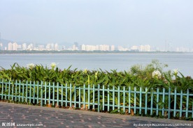 深圳湾公园