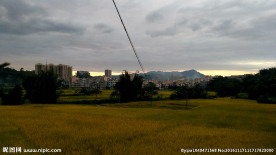 金色田野傍晚全景 延时摄影