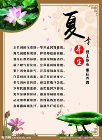 夏季养生展架