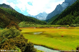 高原风景