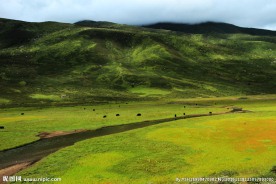 高原风景