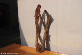 树根 树雕