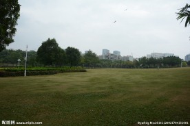 草地树林