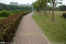 草地树林