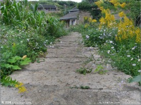 路边风景