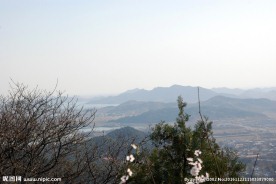 远去的群山