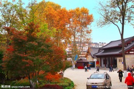 栖霞山红叶 栖霞古寺