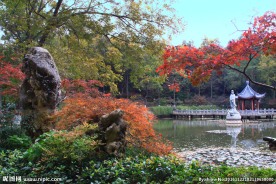 栖霞山红叶 栖霞古寺