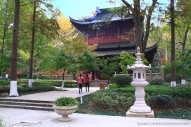 栖霞山红叶 栖霞古寺