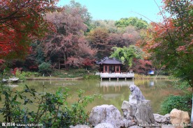 栖霞山红叶 栖霞古寺
