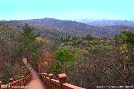 栖霞山红叶 栖霞古寺