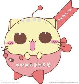 坐飞机的猫
