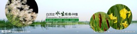 banner模板