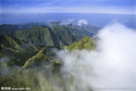 高山云雾