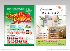 三雄极光灯具 壁虎开关宣传页