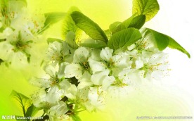 李子花