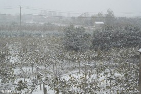 美丽的雪景