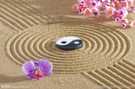 养生素材