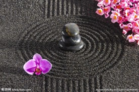 养生素材