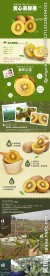 猕猴桃详情页
