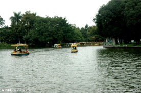湖边湖水