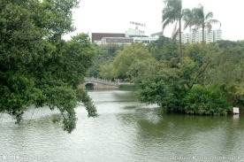 湖边湖水