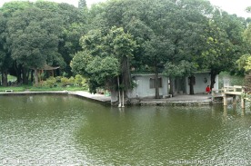 湖边湖水