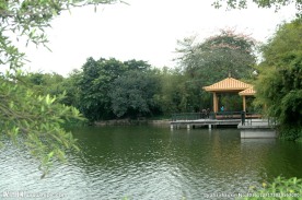 湖边湖水