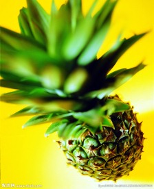 菠萝