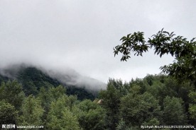 山中云雾