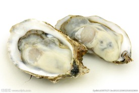 生蚝 海鲜 烧烤 扇贝 美食