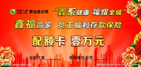 中国人寿配额卡