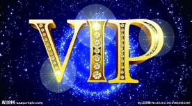 vip金字