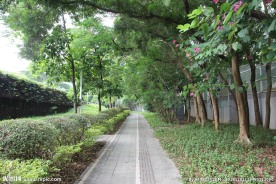 人行道