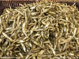 小鱼干