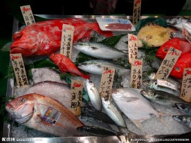 世界最大鱼市场