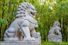 狮子雕塑 雕塑 雕像 艺术品