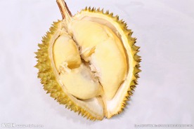 精品金枕榴莲猫山王实拍图