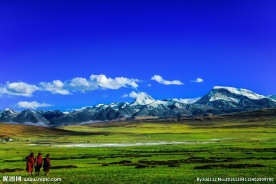 美丽的草原风景