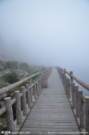 西昌螺髻山 螺髻山 水中 古树