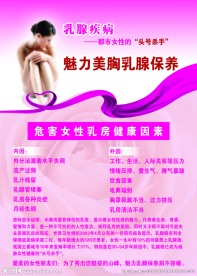 魅力美胸乳腺保养