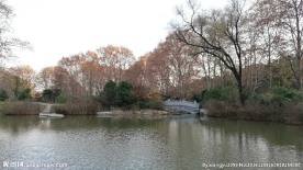 园林美景