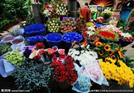花市 群花