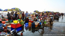 农贸市场 海鲜市场