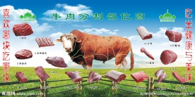 牛肉分割图