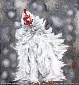 周毅画鸡