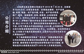 公司简介